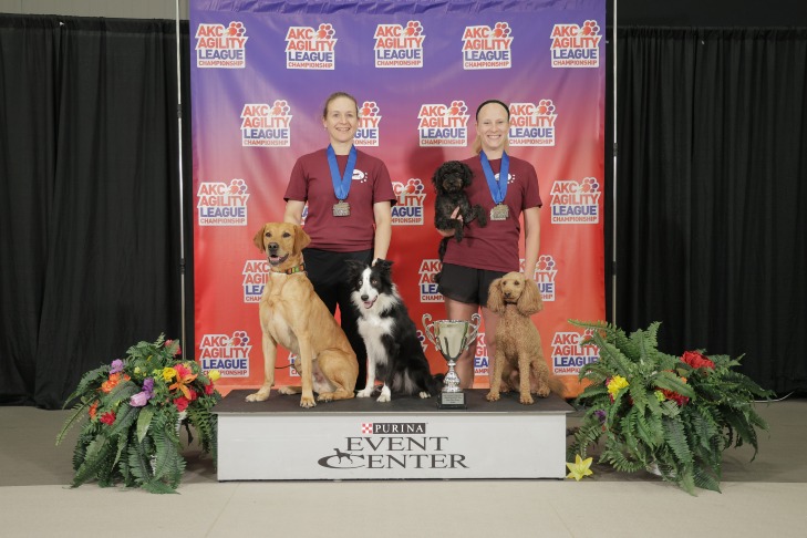 Dream-On-senior-Agility-League-Champ-2024-resized-hero