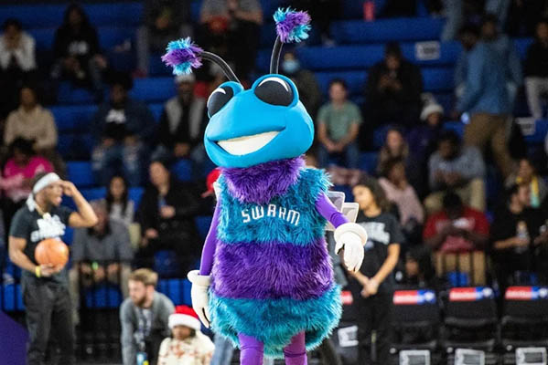 13Greensboro Swarm.jpg