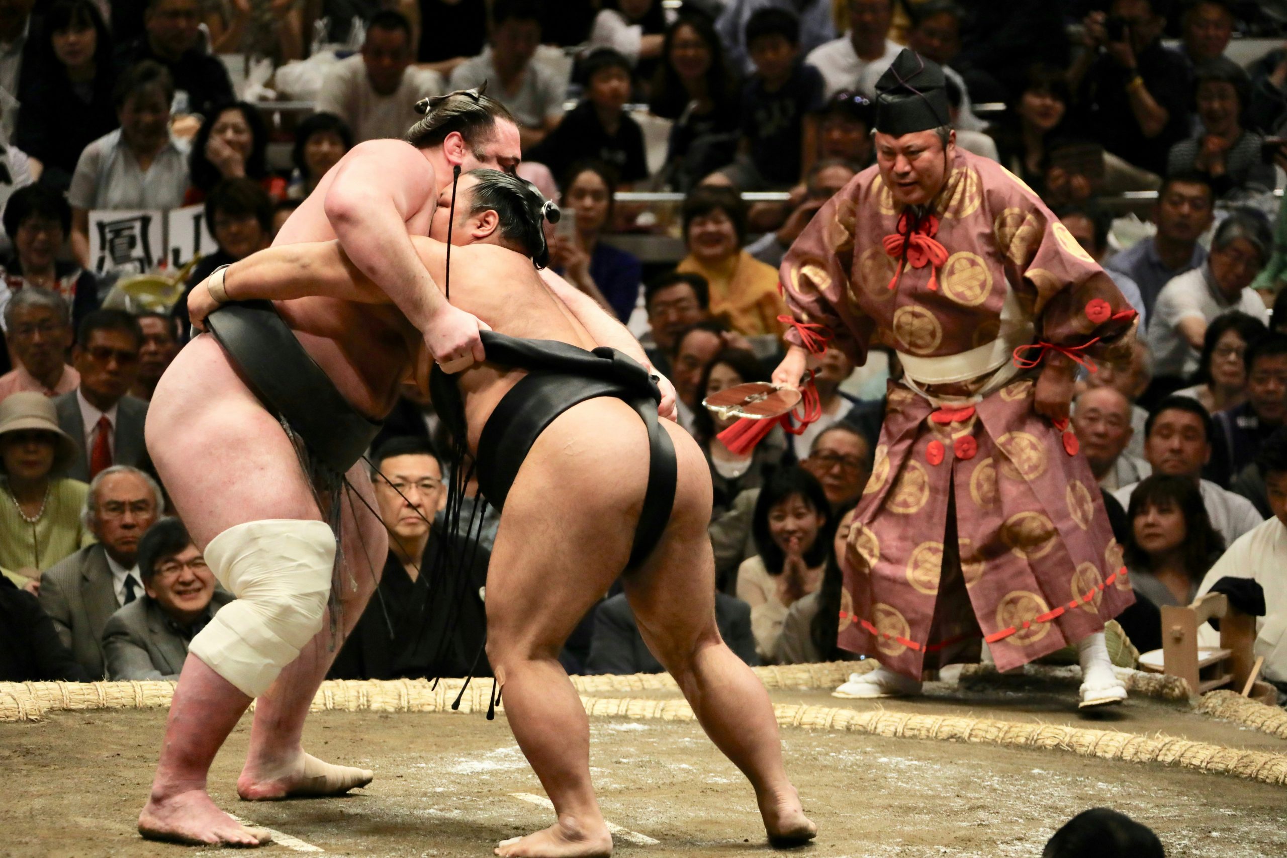 Sumo wrestling