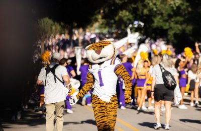 Baton Rouge, Louisiana: Where the Bayou Bengals Roar