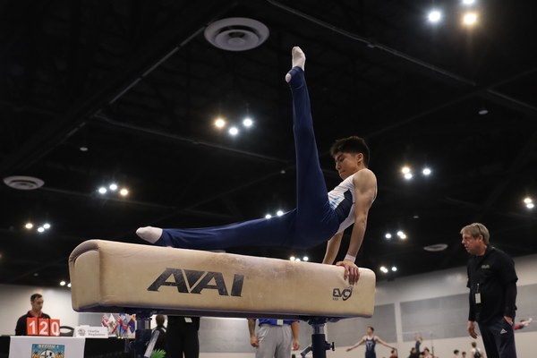 archive_pommel_600x400